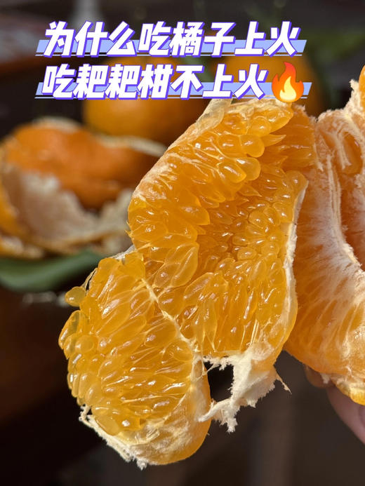 【产地直采】9.9/2斤  耙耙柑 商品图3