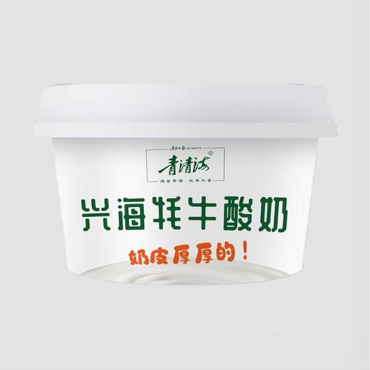 【推荐官专属】兴海牦牛酸奶（90g/盒） 商品图0