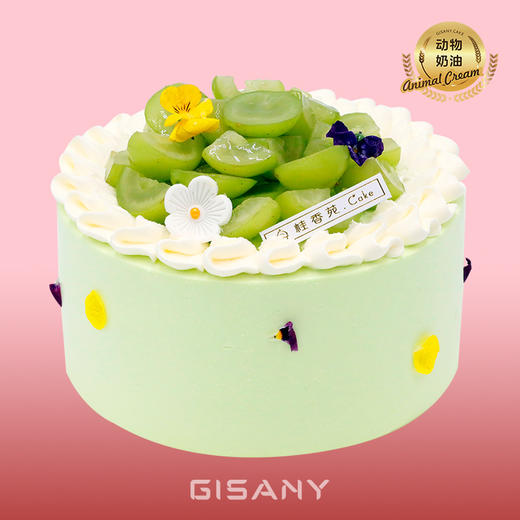 春提春野 商品图0