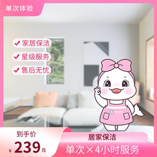 【自动发货】懒大白&瑞和泰 家政服务-单人单次4小时保洁 商品图0