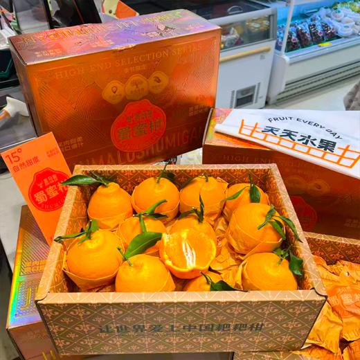 金马鹿耙耙柑大件礼盒装   柑橘 纯甜 味浓 皮薄 商品图5