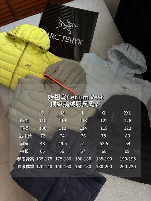 SZN Cerium 850蓬鹅绒排骨羽绒服 商品图1