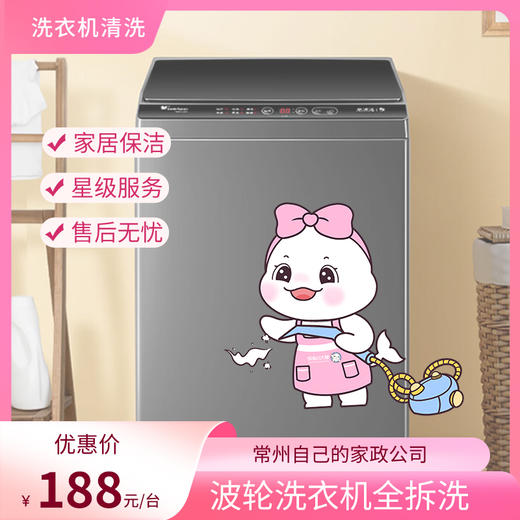 【自动发货】懒大白&瑞和泰 家政服务-波轮洗衣机全拆洗（1台） 商品图0