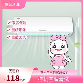 【自动发货】懒大白&瑞和泰 家政服务-挂机空调清洗（1台）