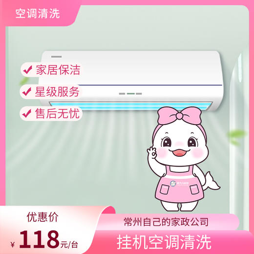 【自动发货】懒大白&瑞和泰 家政服务-挂机空调清洗（1台） 商品图0