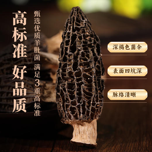 康美生活羊肚菌 30g/袋 山珍菌菇去柄头茬干货 滋补养生汤料煲汤火锅 商品图3