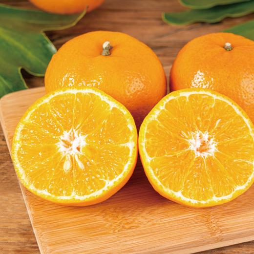 云南哀牢山沃柑礼盒装 【全国顺丰包邮】大果（果径80以上果）（净重8.5市斤） 商品图5