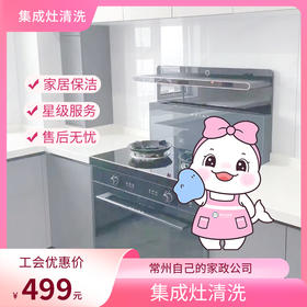 【自动发货】懒大白&瑞和泰 家政服务-集成灶清洗服务