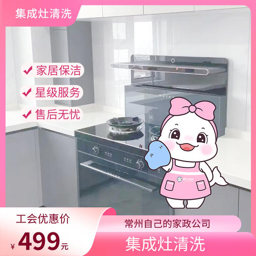 【自动发货】懒大白&瑞和泰 家政服务-集成灶清洗服务 商品图0
