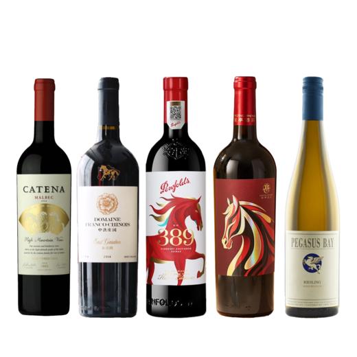 马年迎新品鉴套装｜卡帝娜酒庄马年生肖限定+龙亭·蘭·红葡萄酒马年限定+飞马湾陈年雷司令白+奔富389马年限量款+中法庄园东花园马年纪念款 商品图1