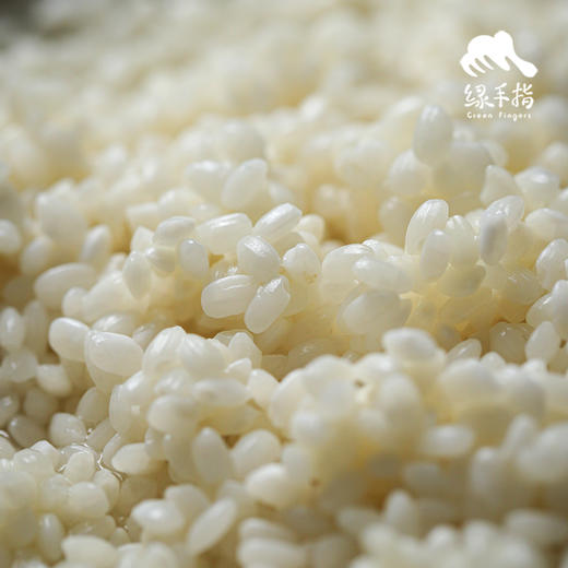 生态糯米（胚芽米）| 合作生产* Ecological glutinous rice | Partner Production 商品图1