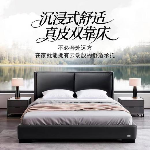 Sealy丝涟床架 汉斯维尔 Huntsville 商品图1