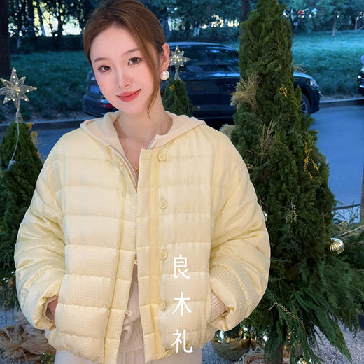 【特价不退换】【部分现货】良木礼短款鹅绒服（D8260F） 商品图2