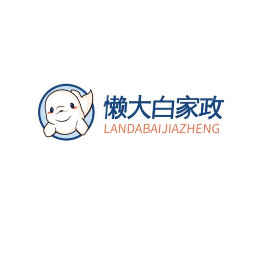 【自动发货】懒大白&瑞和泰 家政服务-单人单次4小时保洁 商品图3