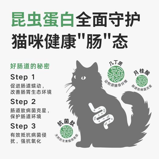 昆虫蛋白全价猫粮| 公平贸易*Insect protein full price cat food| Fair Trade 商品图2