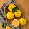果千寻 庆元甜桔柚4.5kg装(特级 果径80-85mm) 商品缩略图3