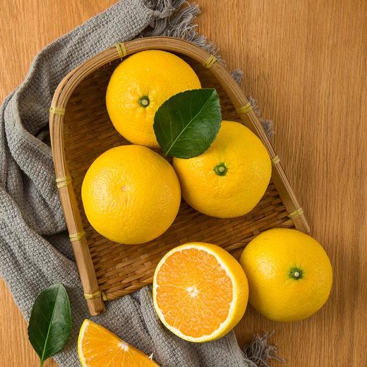 果千寻 庆元甜桔柚4.5kg装(特级 果径80-85mm) 商品图3