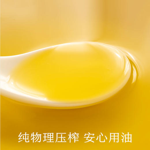 南食召 原香葵花籽油 商品图4
