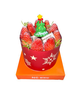 （四寸圣诞蛋糕）圣诞雪境密语