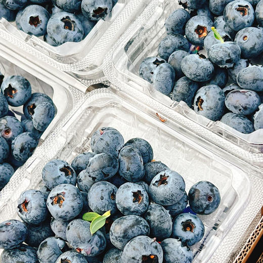 云南高原 圣庄蓝莓125g盒  18mm+  | 水果 商品图0