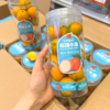 融安耘端脆蜜金柑 金桔 超好吃 商品缩略图3