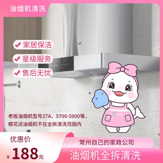 【自动发货】懒大白&瑞和泰 家政服务-油烟机全拆洗服务 商品图0