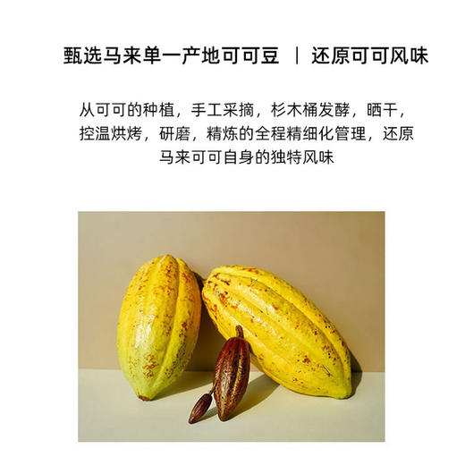 贝纳丝至醇无糖黑巧克力 （99.9%可可含量） 138g/袋 商品图2