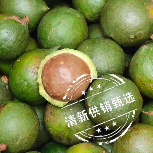 石谭远夏澳洲夏威夷果（盐焗味250g） 商品图3