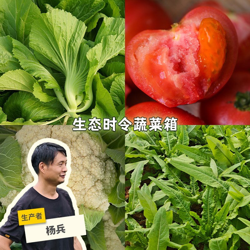 生态广州时令蔬菜箱（包邮）| 绿家自产*ecological eafy vegetables | Self-production