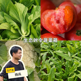 生态广州时令蔬菜箱（包邮）| 绿家自产*ecological eafy vegetables | Self-production