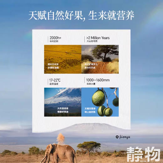 牛油果油220ml（喷雾）｜晟麦 商品图3