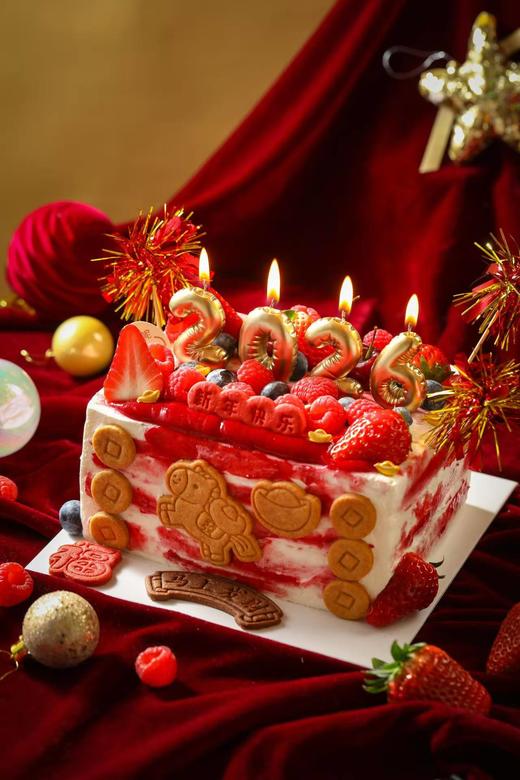 马上有钱 商品图0