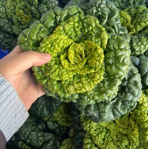 生态黄心乌 | 绿家自产 * Eco-choy sum | Self-production 商品图0