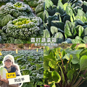 生态衢州时令蔬菜箱 (包邮陆运，含散花椰菜、生菜等) | 绿家自产 * Ecological vegetable box | In-House Production