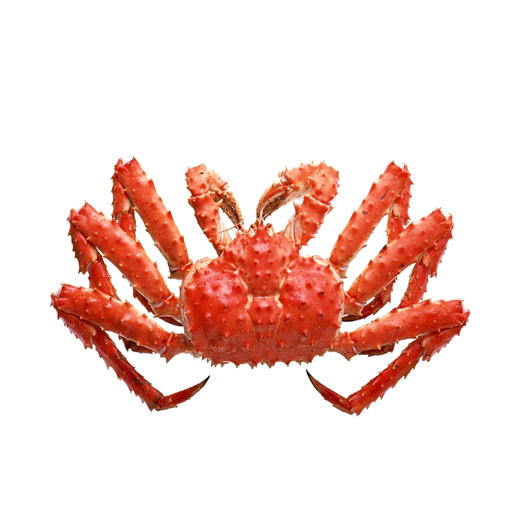 整只俄罗斯帝王蟹(熟冻) 2-3kg/只 商品图0