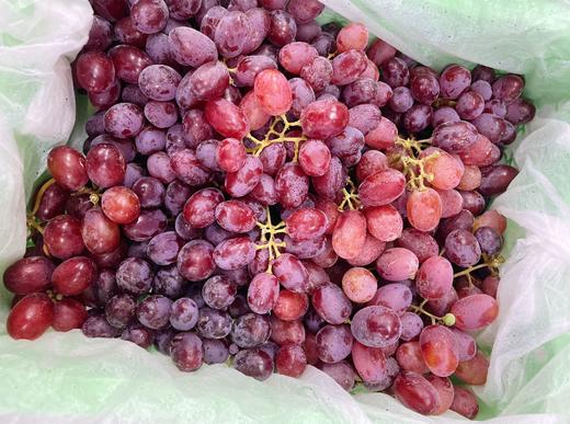 无籽红提一箱 商品图1