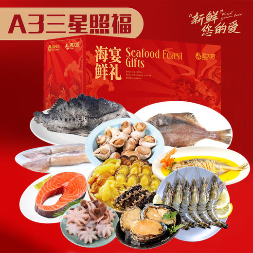 【直送到家】海大厨海鲜礼盒A3三星照福5545g 年货送礼 含黑虎虾鲍鱼海鲜盆菜10种10斤 商品图0