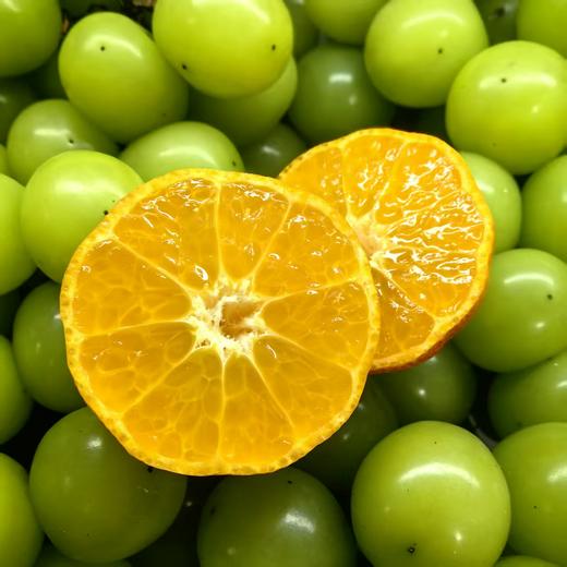 【原果】砂糖橘 750g 商品图0