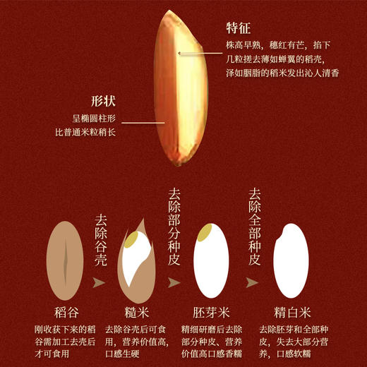 有机胭脂糯 商品图3