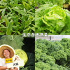 生态丰产自选蔬菜（顺丰陆运） | 绿家自产* Ecological leafy vegetables | Self-production 商品缩略图0