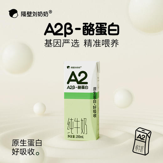 【旗舰】隔壁刘奶奶A2β-酪蛋白纯牛奶200mL*8盒/箱 商品图1