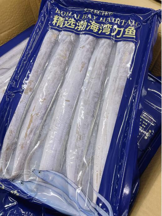 渤海湾刀鱼一盒 商品图0