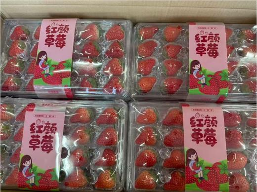 24颗红颜草莓一盒 商品图1
