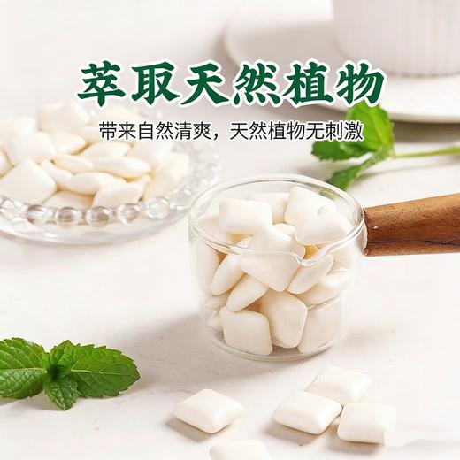 乐天木糖醇口香糖罐装52g/062911/条装24g/064190 口气清新 商品图2