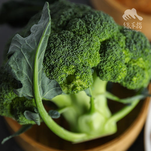 生态西蓝花 | 绿家自产*Ecological broccoli | In-House Production 商品图4