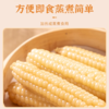 【拇指玉米】皮薄肉嫩软糯香甜  西双版纳特产品种  1斤普通装 2/4斤礼盒装（2.14-2.24停发） 商品缩略图4