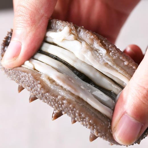 言禧即食海参500g【臻礼贺岁】 商品图2
