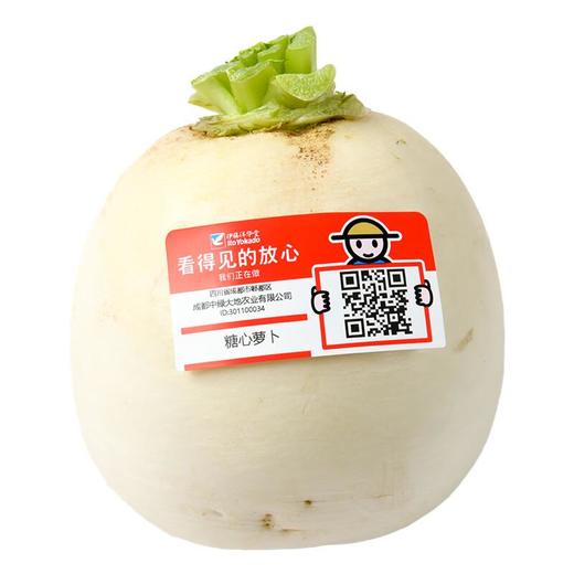 放心糖心萝卜 500g/个 商品图1