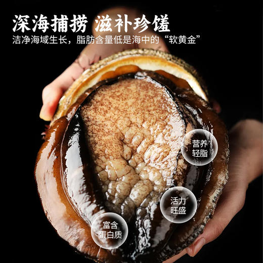 （1.20直播）言禧经典金汤罐装佛跳墙220g*6罐（固形物≥30%）【臻礼贺岁】 商品图3