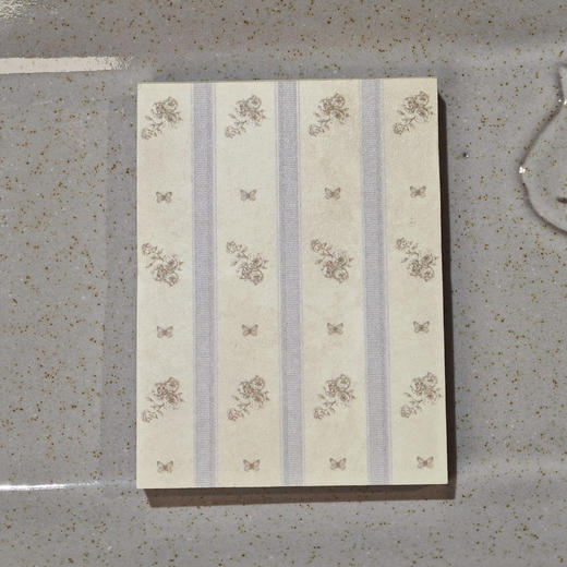 【现货】阿果拉丨马来西亚 jieyanow DREAMERS OF SPRING 便签 商品图2